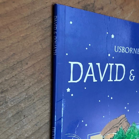 Usborne Bible Tales: David & Goliath Storybook - softcover - Picture 14 of 16
